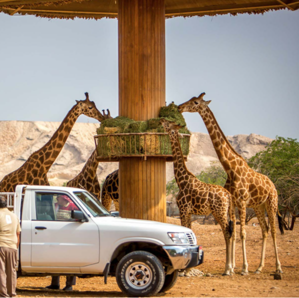 Al Ain Zoo Ticket