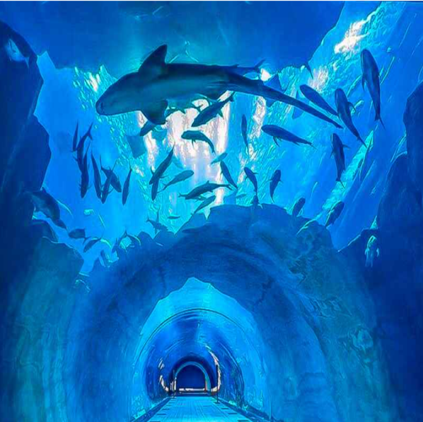 Dubai Aquarium 